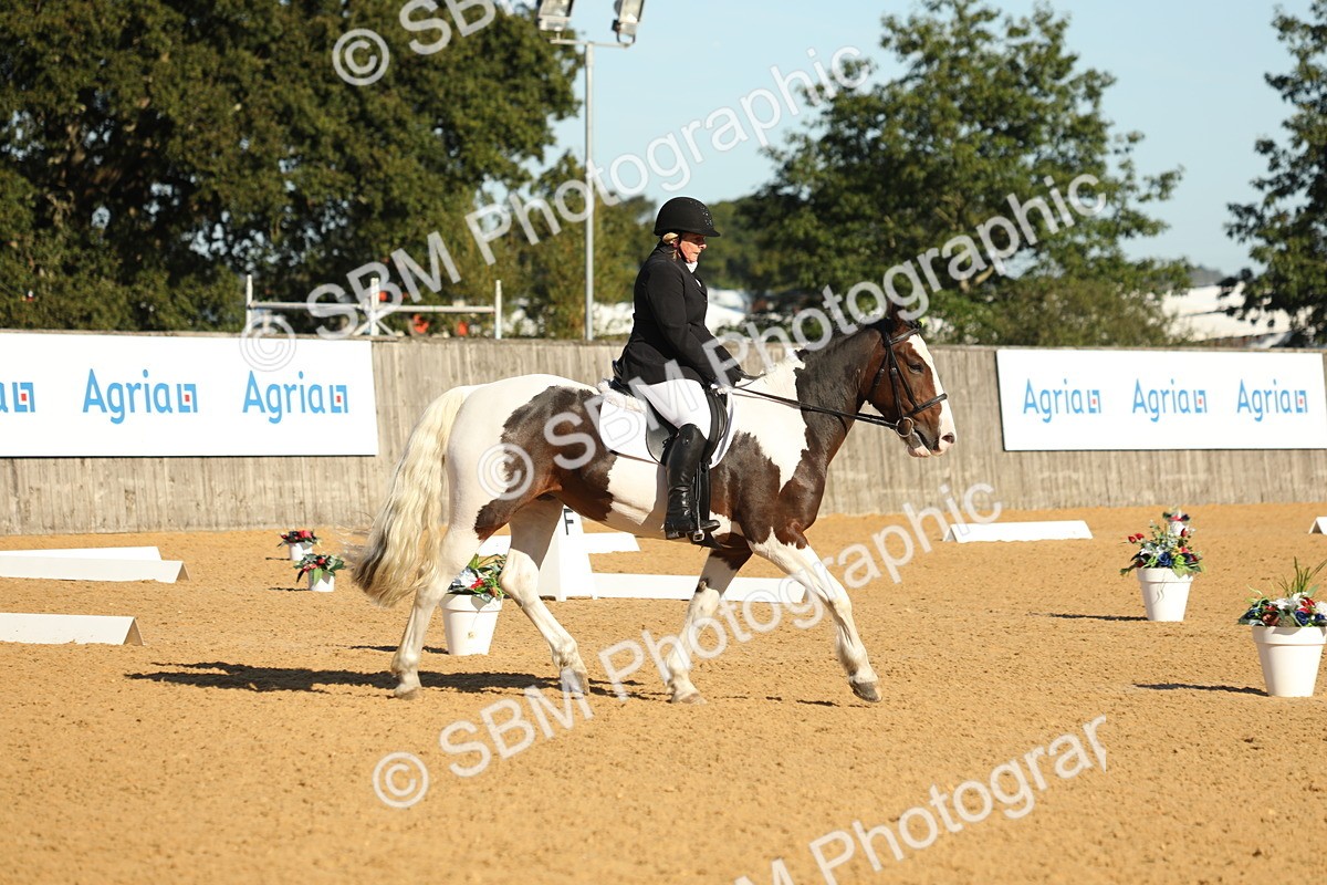 SBM_16453 - D10 - Small Tour Championship - Prelim 2