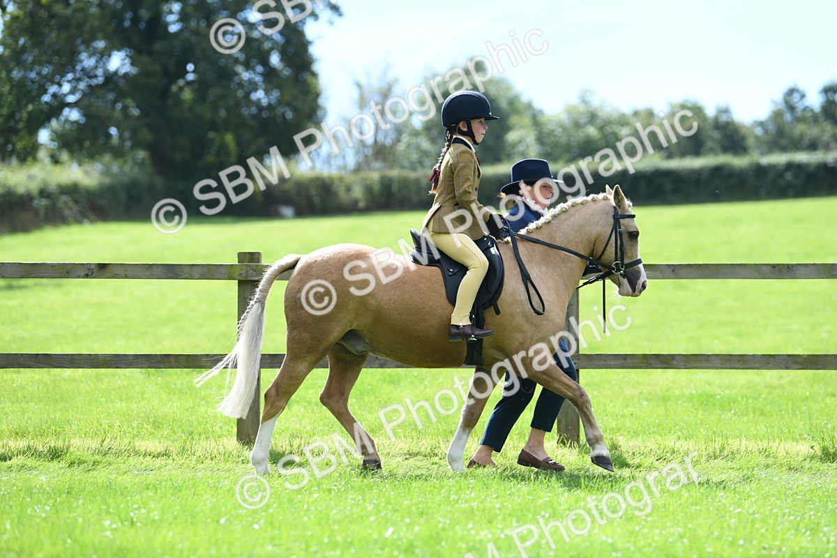 SBM_41198 - S19 - Lead Rein Show & Show Hunter Pony