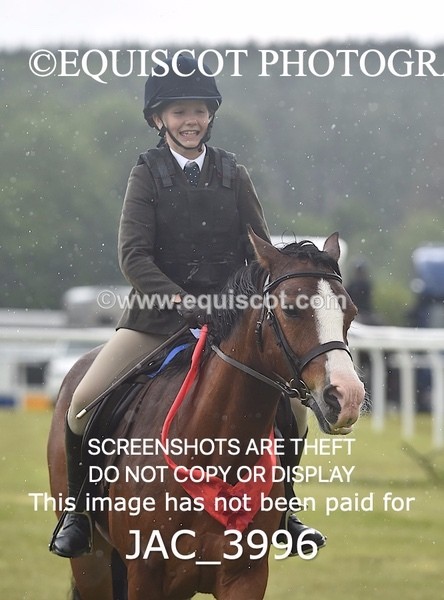 JAC_3996 - 55cm WORKING HUNTER