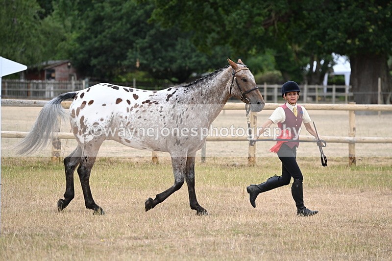WJ6_8520 - Class 10 Coloured in Hand