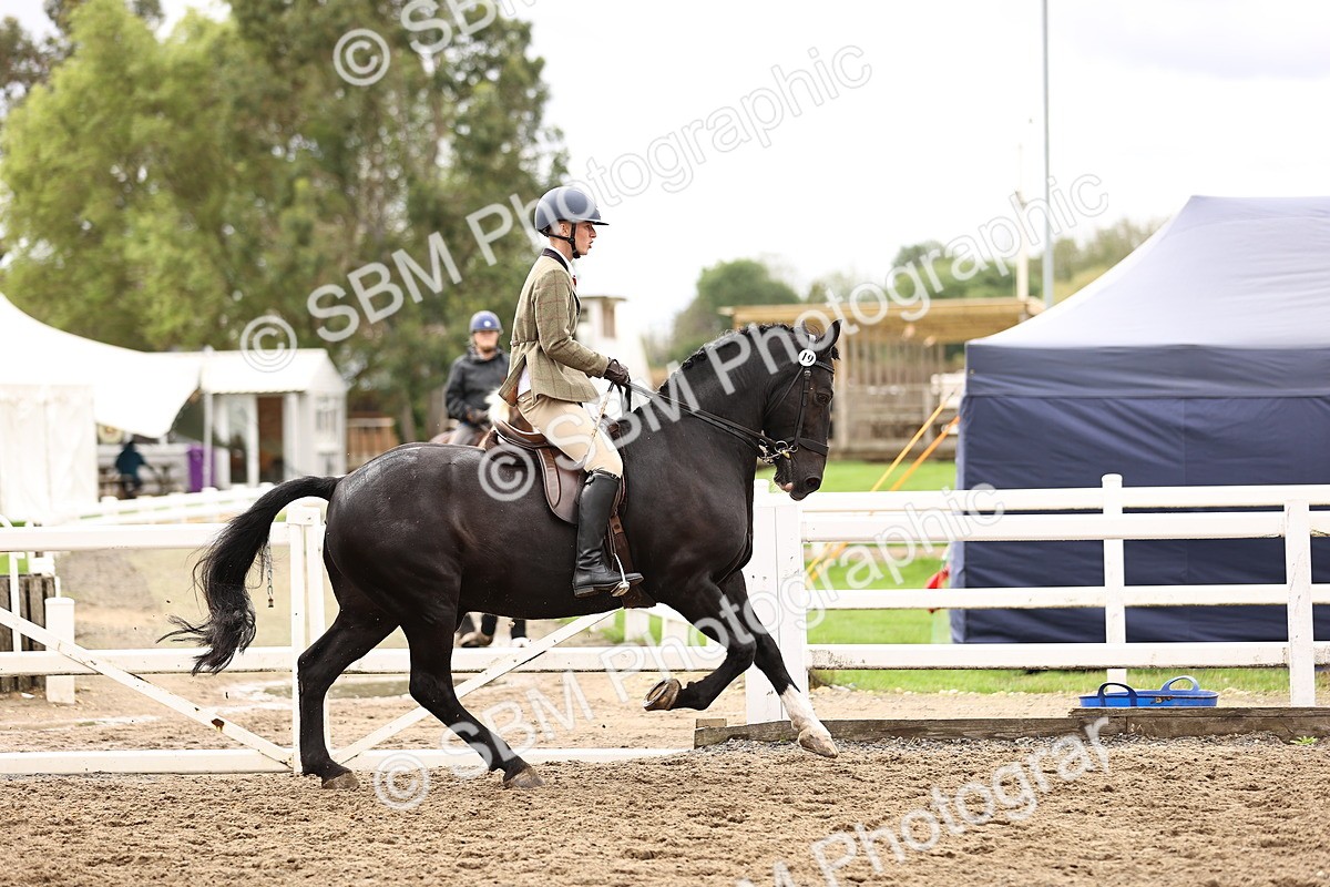 SBM_00547 - Class 53 - Ridden Competition Horse Pony