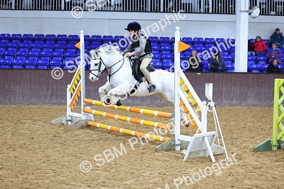 SBM_001438 - Class 3 - Christmas Tree Stakes - 60cm