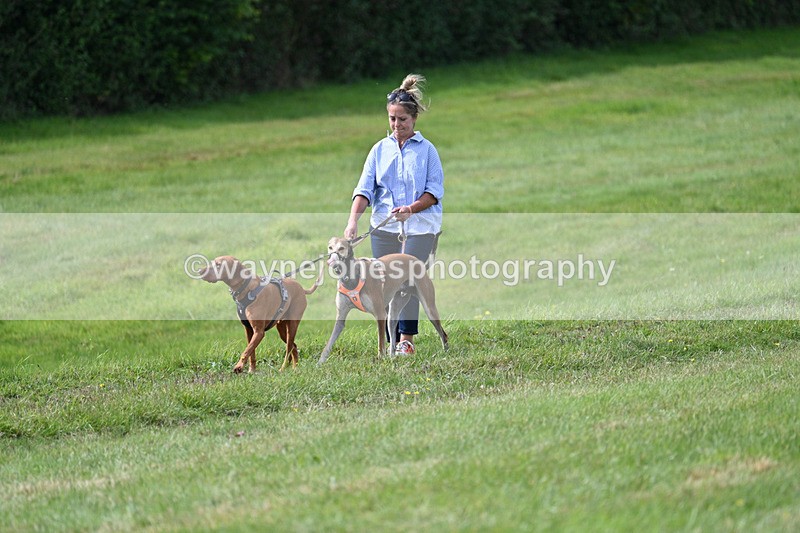 WJ7_7260 - Time 13:13 to 13:20