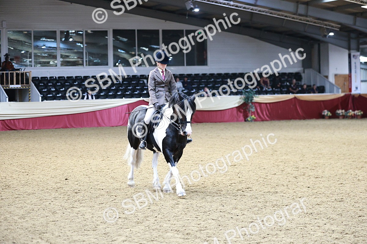 SBM_03650 - Class 6A Area Ridden Pre-Vet