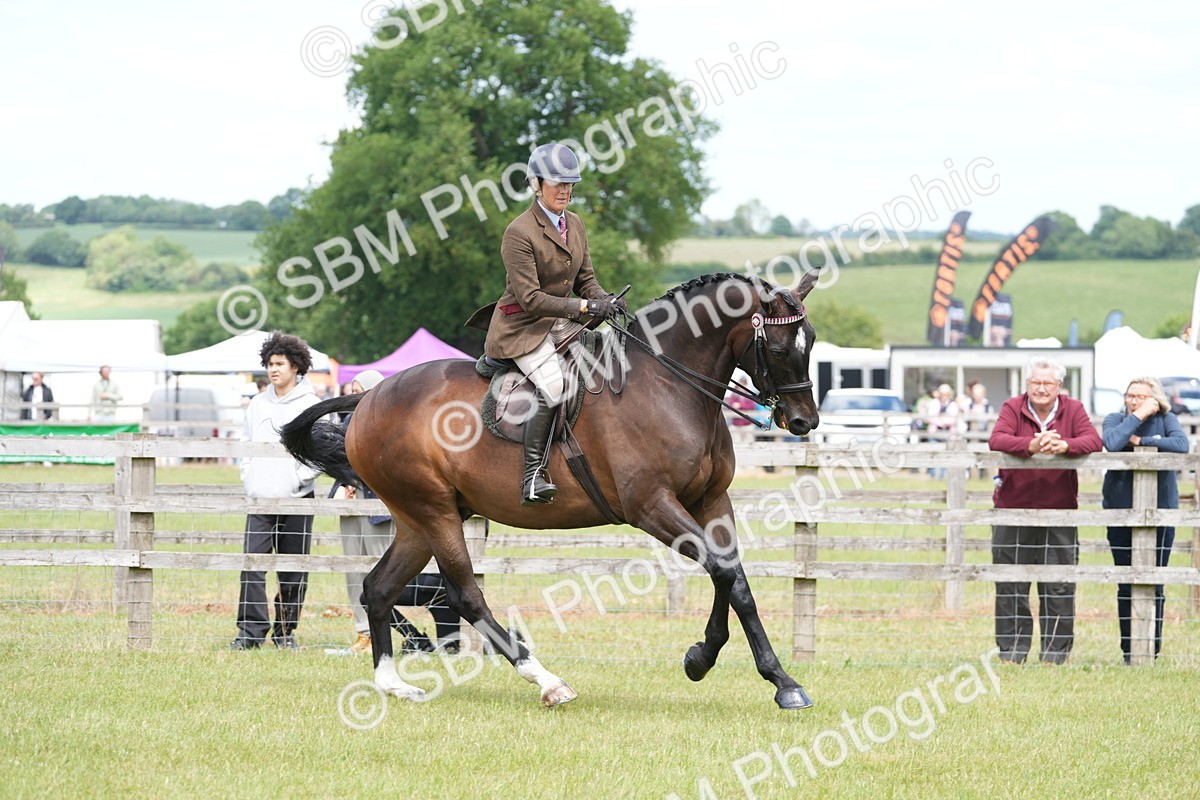SBM_16242 - Class 105-106 - RIHS Riding Horses
