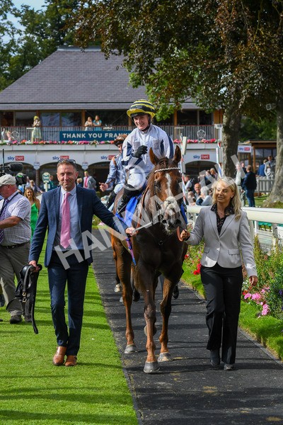 260823-Race 5-Albasheer-0800 - Race 5 Sky Bet Constantine Handicap
