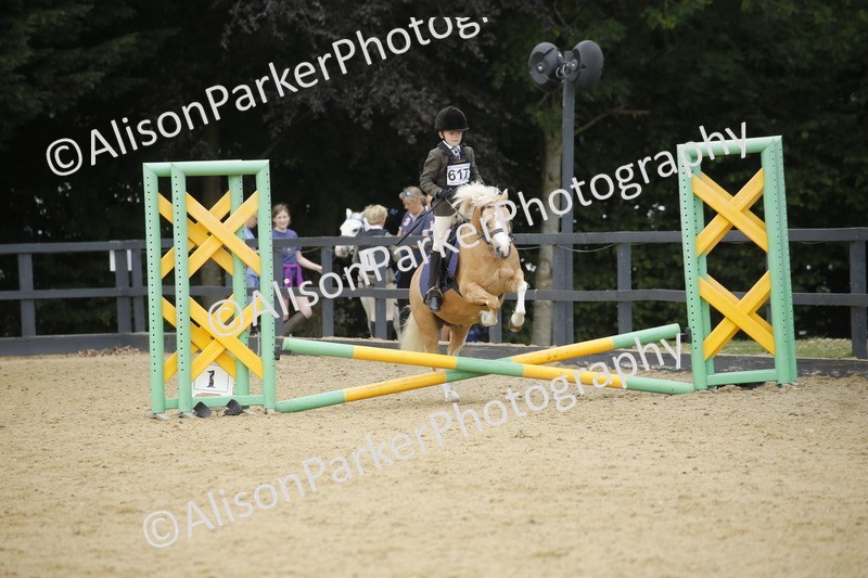 20250622-3795 - 50cm