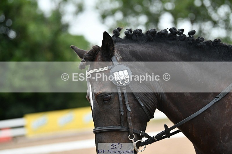 250705-094803-00081 - BRCP1 Sections BRCP1SNR, BRCP1JNR 09-30 to 10-40