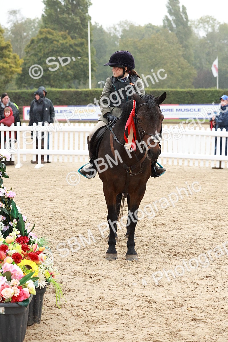 SBM_73613 - Supreme Championship Junior Pony 60cm & 65cm