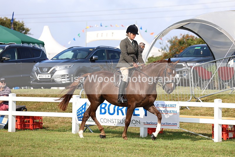 3E7A8512 - Class 3: Rising Star S/L Hunter