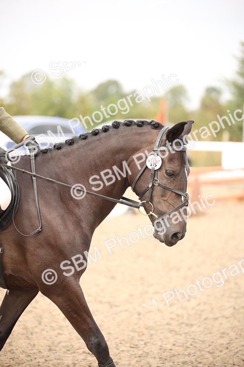 SBM_16211 - Class 409a - Working Veteran 80cm (15-19)