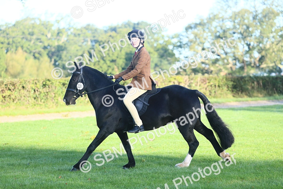 SBM_37350 - S29 - Novice & Newcomers Working Hunter Pony