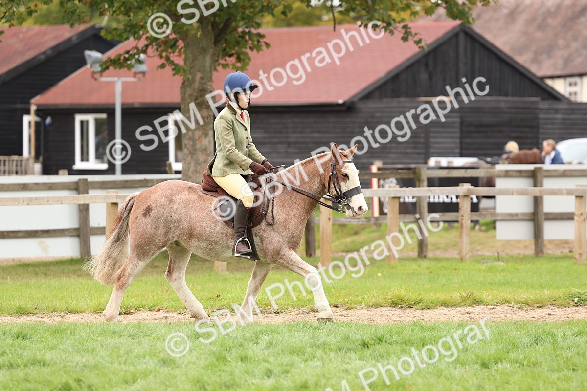 SBM_64629 - S58 - Coloured Pony Ridden