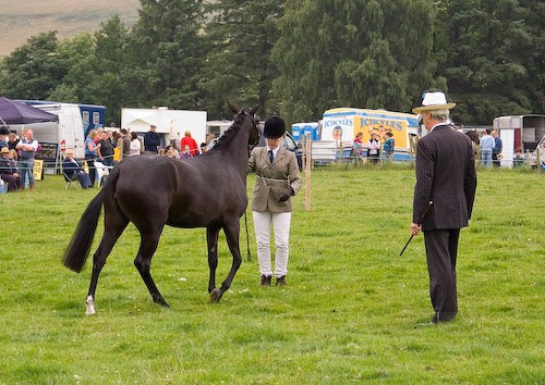 59 - Moniaive Horse Show 2008