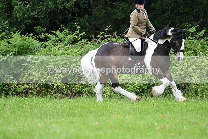WJ7_2373 - Class 12A Coloured Class