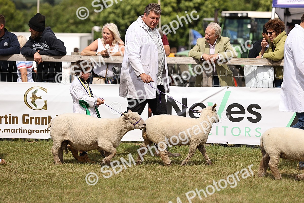 SBM_16847 - Grand Parade