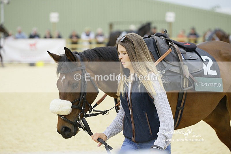 PtP 020522 505 - Mollington Races Point-to-Point 02/05/22