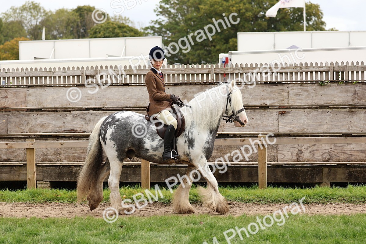 SBM_64381 - S58 - Coloured Pony Ridden