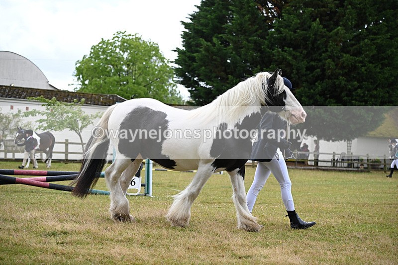 WJ6_8681 - Class 10 Coloured in-hand