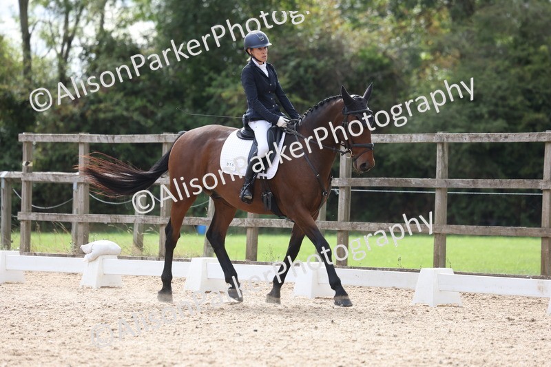 20260923-0453 - Class 7 - Novice 2