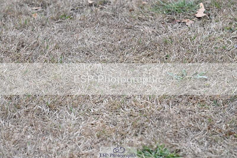 250820A-180856-12557 - Wednesday Presentations