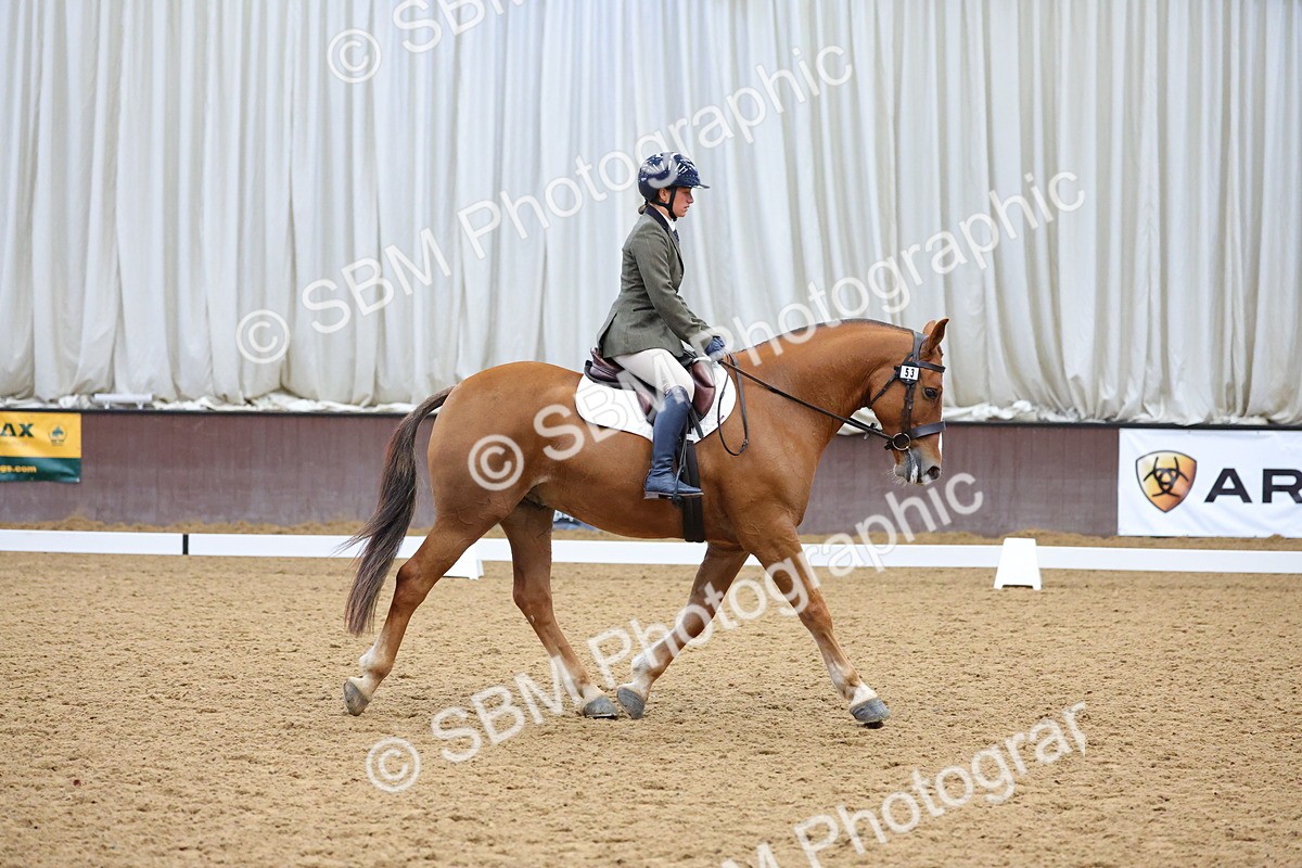 SBM_001930 - Class 5 - Novice 3