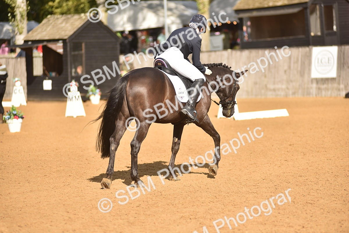 SBM_48903 - D22 - Junior Championship Intro 3