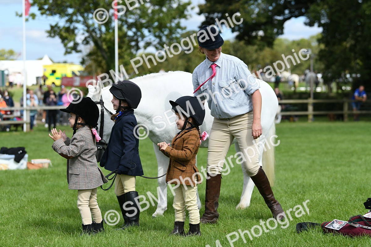 SBM_46806 - S12 - Family Horse & Pony