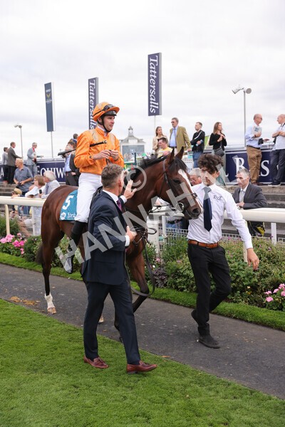 yr17082022r7-2 - Race 7 5.20pm Sky Bet Nursery Handicap