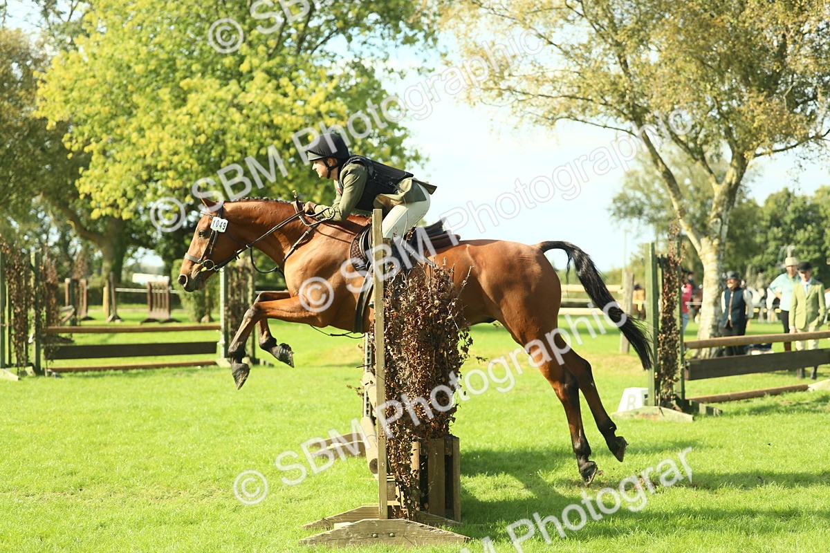 SBM_50564 - S33 - Working Hunter & Working Show Horse