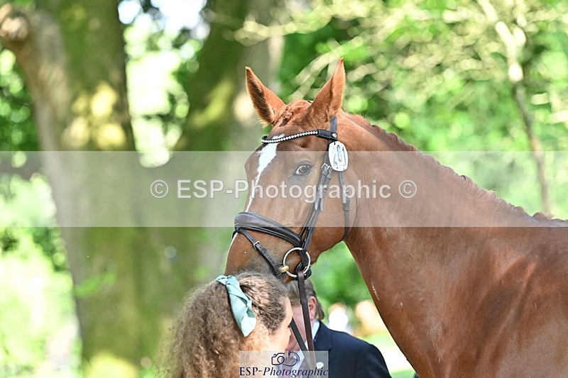 250521A-161529-01019 - C-261-Danielle.Dunn-ICI.DOR.DE.DONNA.CADANZA.Z