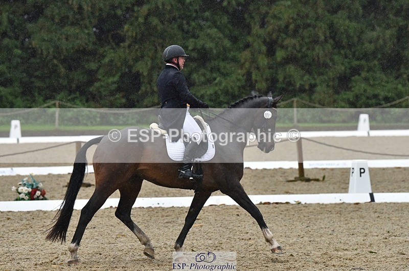 231018-153618-00825 - 011-BIG.QUERLYBET.K.Z-Paul.Whitehead-DR