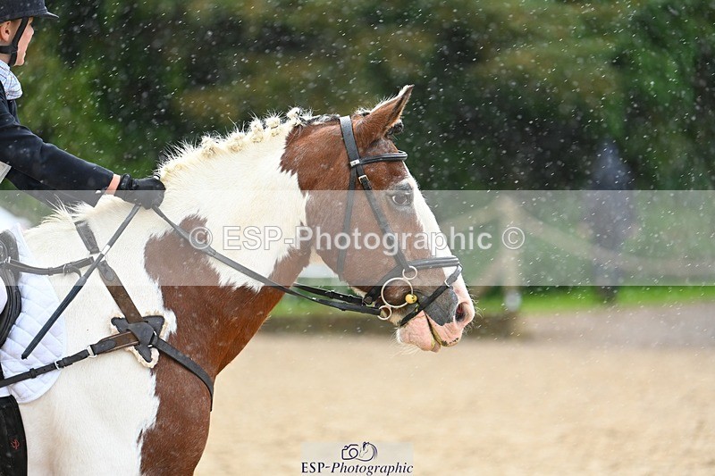 230826-113943-14905 - Jump Off