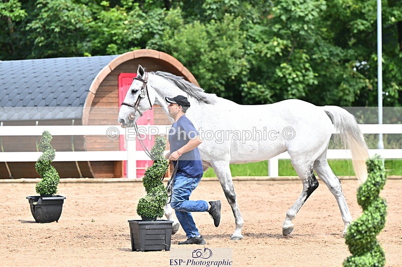 240718A-105255-01324 - Trot Up 12pm to 1pm
