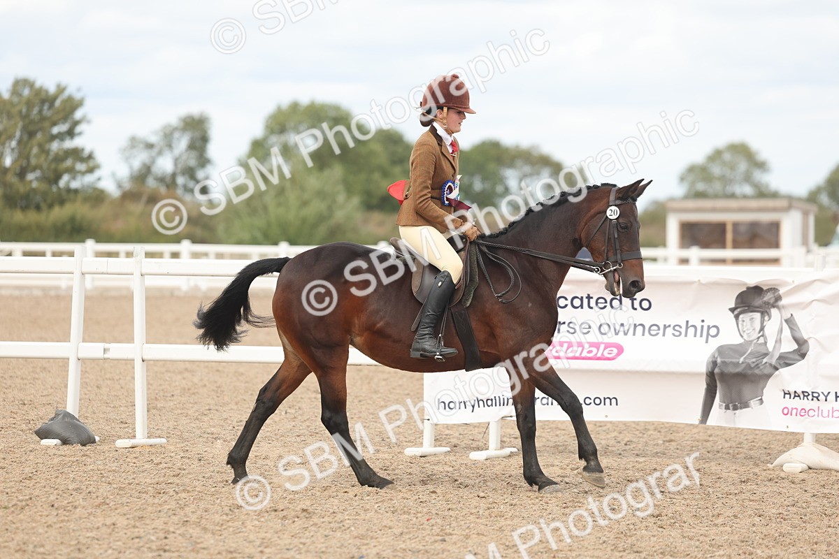SBM_18095 - Class 314 - Family Horse Pony