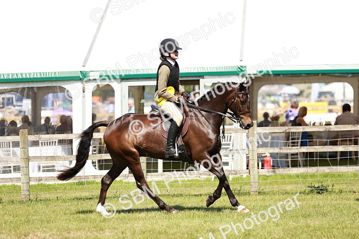 SBM_17685 - Class 112-113 - BSPS LIHS Working Sports Pony