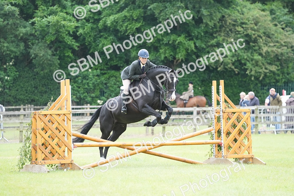 SBM_12570 - Class 97-98 - LIHS BSHA Rising Star Working Show Horse Hunter