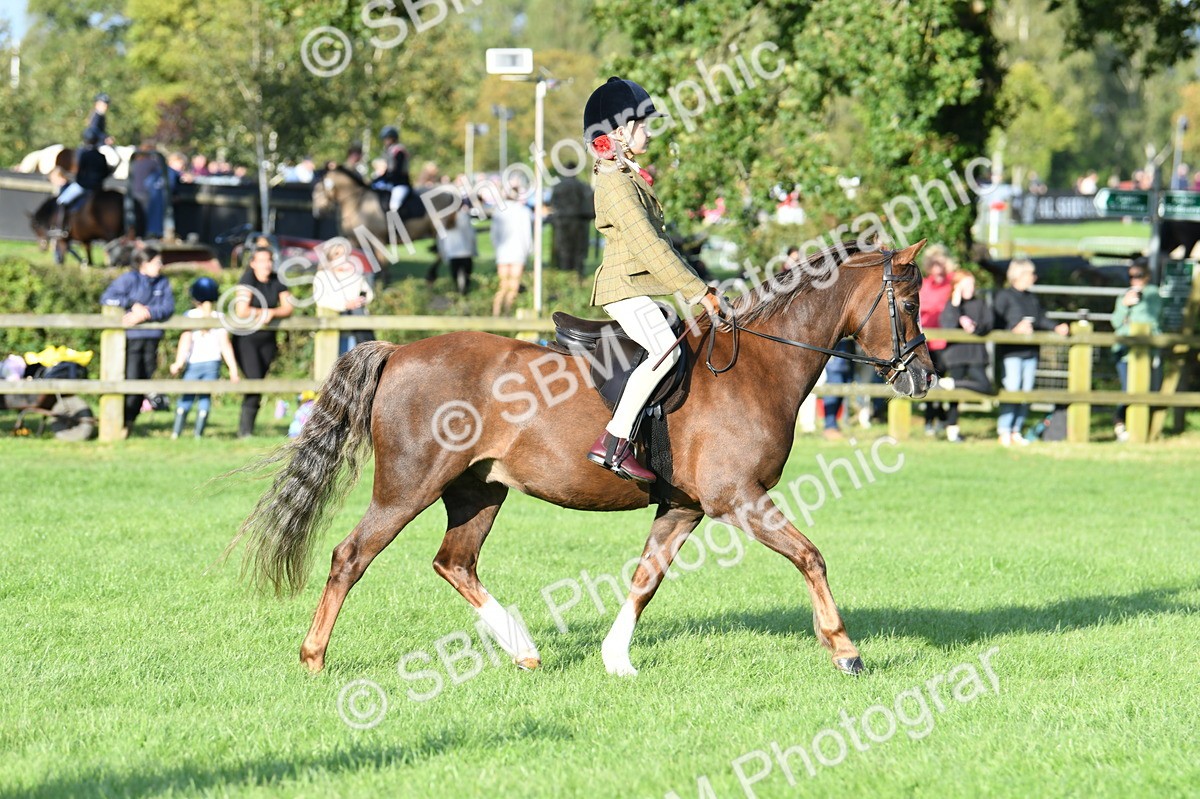 SBM_54042 - S23 - 1st Ridden Mountain & Moorland Pony