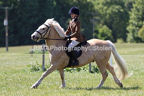 IMG_3875 - Working Hunter