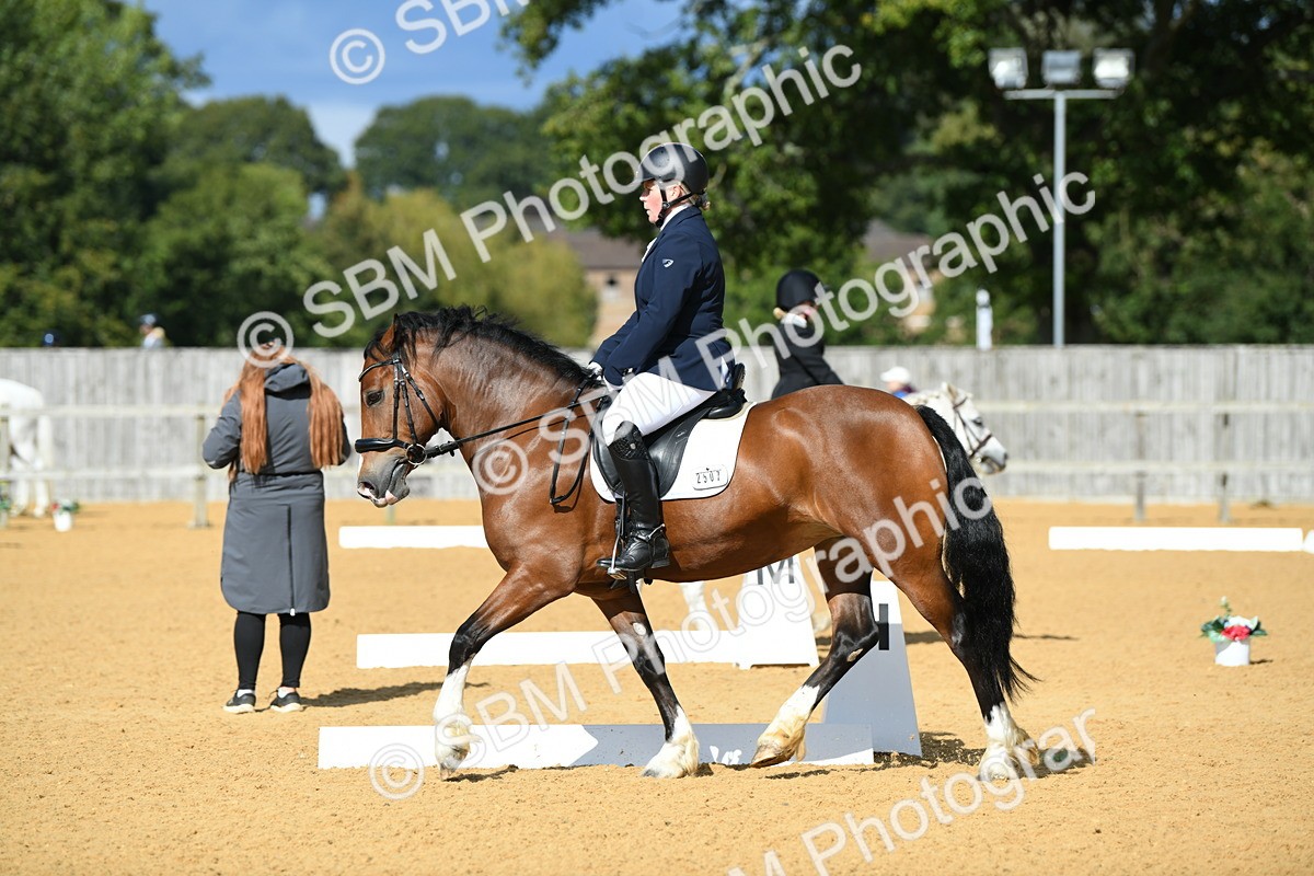 SBM_07461 - D15 Small Tour Championship Novice 24
