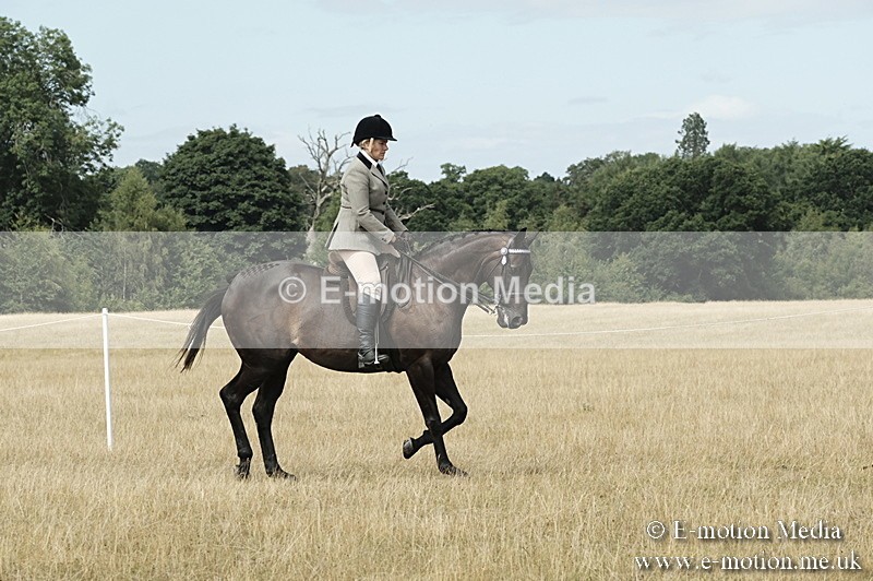 _PJP6087 - BVRC Show 2018 Ring 1