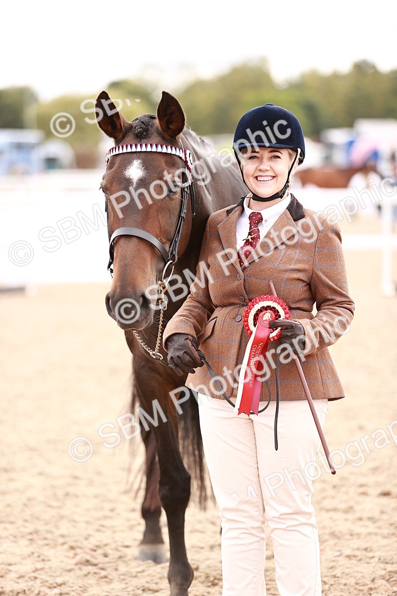 SBM_16366 - Class 413 - Best Condition - Adult