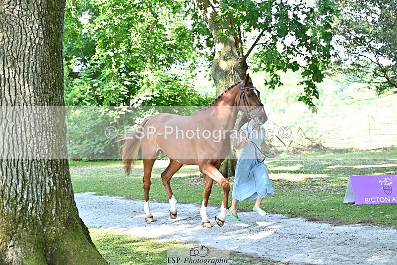 250521A-161557-01022 - C-261-Danielle.Dunn-ICI.DOR.DE.DONNA.CADANZA.Z