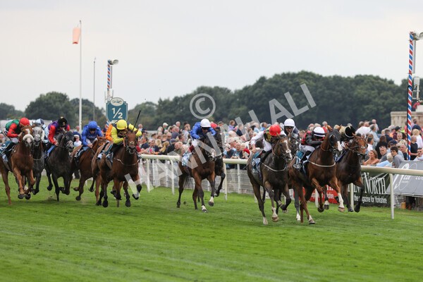 yr18082022r3-19 - Race 3 3.00pm Clipper Logistics Stakes