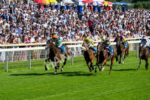 120725-Race 5-Amazing Journey-0403 - Race 5 4.15pm John Smith's Nursery Handicap
