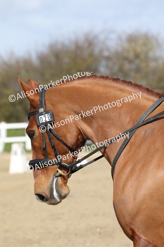 20260314-2199 - CT2 - Prelim 1