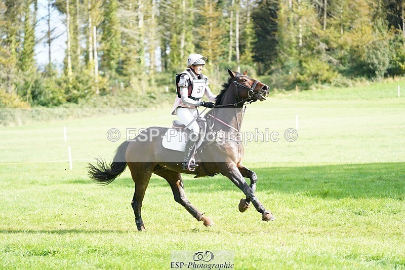 231020-115804-07004 - 057-OVERTON.TILANA'S.GOLD-Claire.Deuten-XC