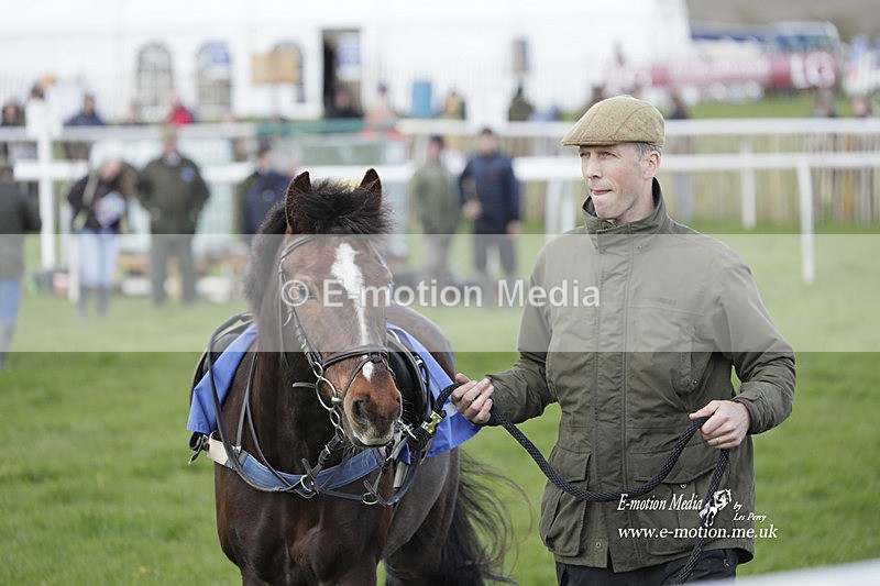 PtP PR 100423 12 - Pony Racing Lockinge 10/04/23