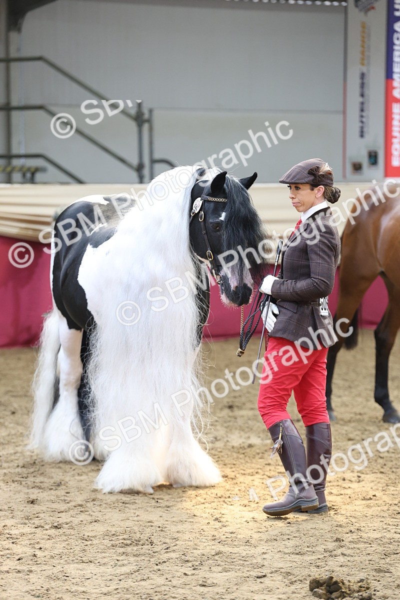 SBM_23413 - Class 903 - Supreme Final - IH Pre Vet