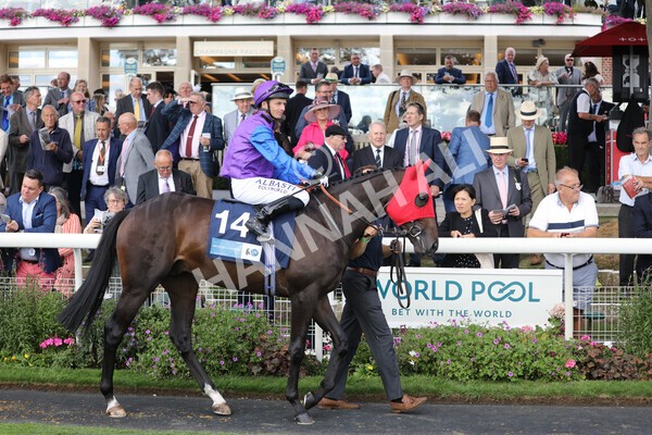 yr19082022r6-13 - Race 6 4.45 pm British Stallion Studs EBF Convivial Maiden Stakes